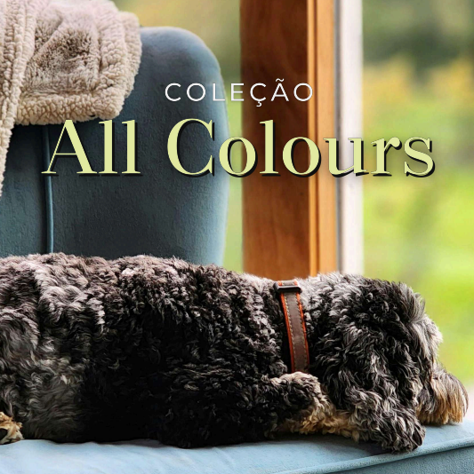 All Colors – Wiler